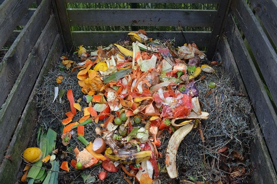 COMPOSTING IN THE COVID-19 ERA